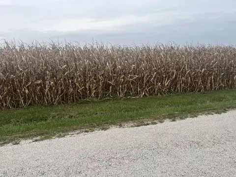 1293 County Road 2400 E, Saint Joseph, IL 61873