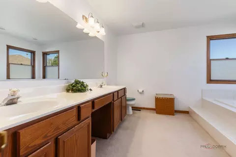 Bath - 1490 Pheasant Trail Ct, Hoffman Estates, IL 60192 photo 2 of 5
