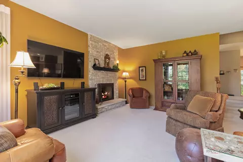 Living - 1490 Pheasant Trail Ct, Hoffman Estates, IL 60192 photo 3 of 5