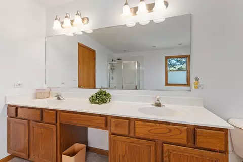 Bath - 1490 Pheasant Trail Ct, Hoffman Estates, IL 60192 photo 4 of 5