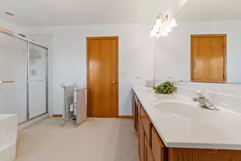 Bath - 1490 Pheasant Trail Ct, Hoffman Estates, IL 60192 photo 3 of 5