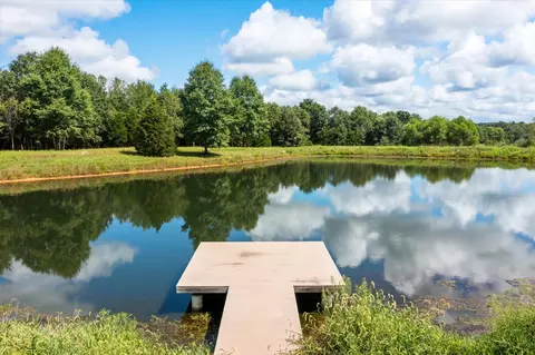 View/Area - 7302 River Rd, Iuka, IL 62849 photo 10 of 21