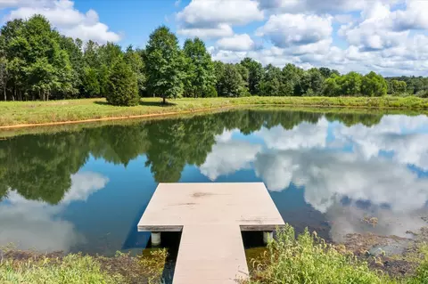 View/Area - 7302 River Rd, Iuka, IL 62849 photo 2 of 21