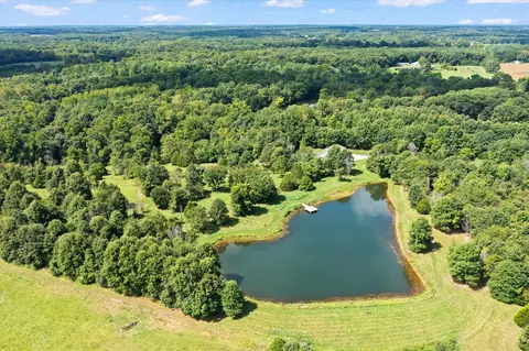 View/Area - 7302 River Rd, Iuka, IL 62849 photo 7 of 21