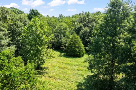 Other - 7302 River Rd, Iuka, IL 62849 photo 17 of 18