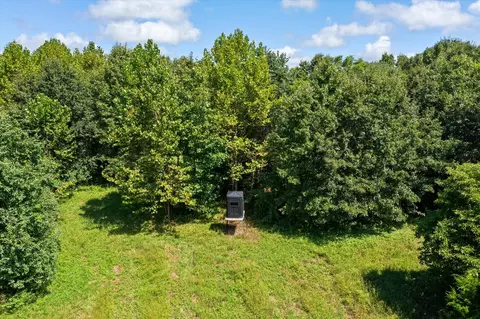 Other - 7302 River Rd, Iuka, IL 62849 photo 13 of 18