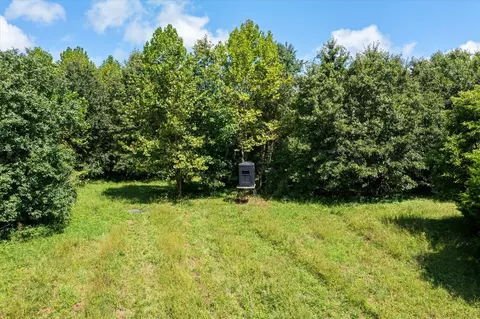 Other - 7302 River Rd, Iuka, IL 62849 photo 14 of 18