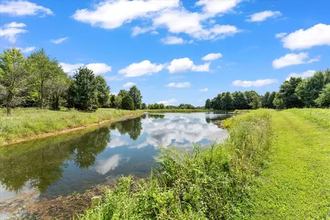View/Area - 7302 River Rd, Iuka, IL 62849 photo 6 of 21