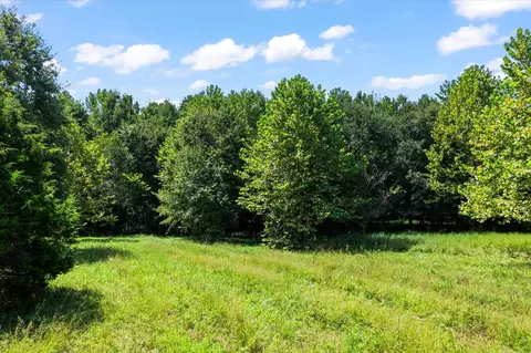 Other - 7302 River Rd, Iuka, IL 62849 photo 11 of 18