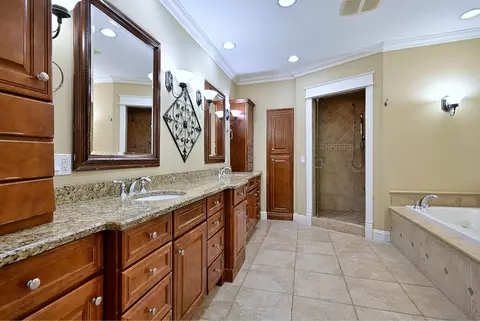 Bath - 1430 Park Ave, River Forest, IL 60305 photo 5 of 9