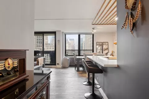 Other - 222 E Pearson St #2002, Chicago, IL 60611 photo 3 of 7
