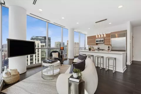 Living - 110 W Superior St #1602, Chicago, IL 60654 photo 3 of 4