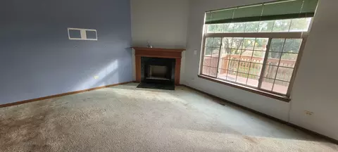 Living - 22935 Judith Dr, Plainfield, IL 60586 photo 2 of 4