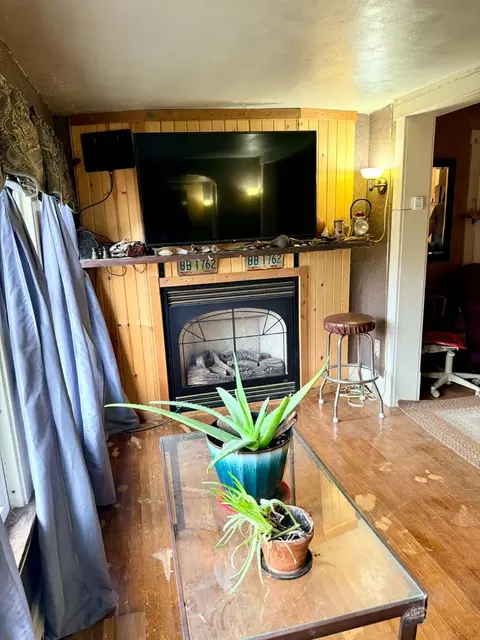Living - 1002 Locust St, Thomson, IL 61285 photo 1 of 1