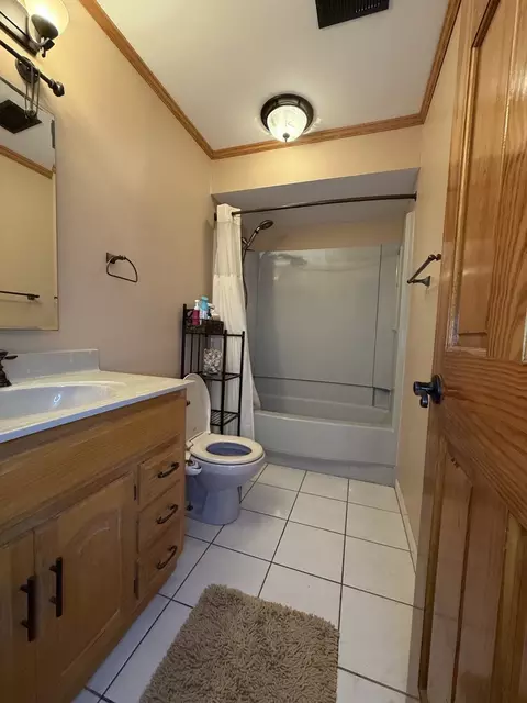 Bath - 2304 Olde Mill Rd, Plainfield, IL 60586 photo 3 of 3