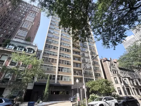 40 E Cedar St #11C, Chicago, IL 60611