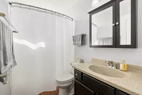 Bath - 183 Switchgrass Dr, Round Lake, IL 60073 photo 2 of 3