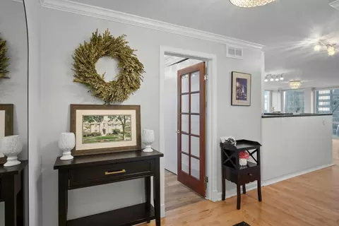 Entry Way - 111 E Chestnut St #46A, Chicago, IL 60611 photo 1 of 1
