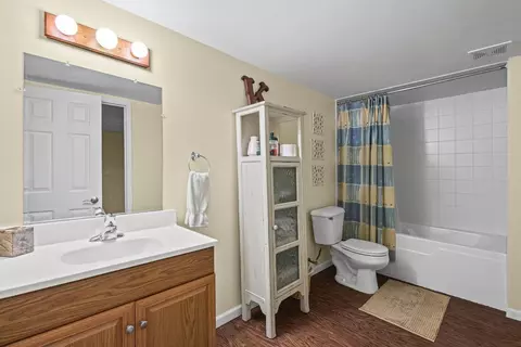 Bath - Undisclosed, Diamond, IL 60416 photo 4 of 5