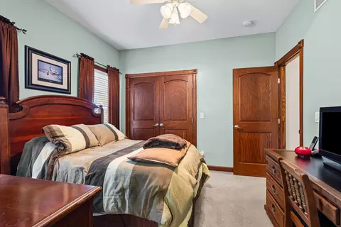 Bedroom - Undisclosed, Diamond, IL 60416 photo 4 of 8