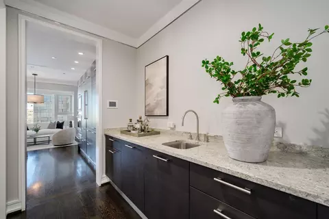 Other - 77 E Walton St #24A, Chicago, IL 60611 photo 2 of 6