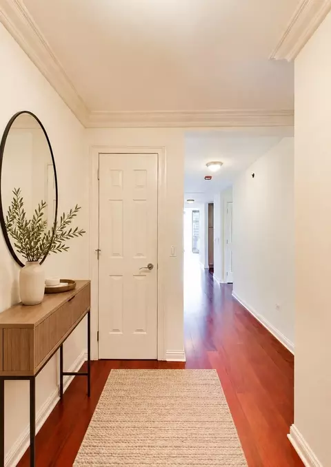 Entry Way - 21 E Huron St #1802, Chicago, IL 60611 photo 2 of 2
