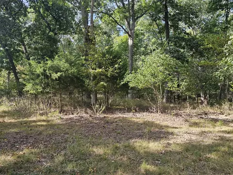 0000 N Violet Ct, Dix, IL 62830 photo 3