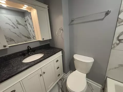 Bath - 1242 Oboe Ct, Wheeling, IL 60090 photo 2 of 6