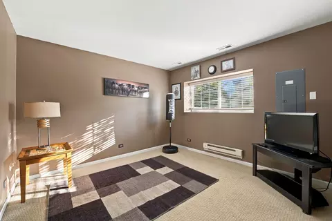 Other - 14518 Samuel Adams Dr, Plainfield, IL 60544 photo 3 of 3