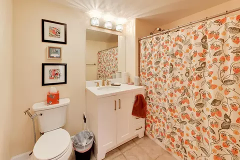 Bath - 5 E 14th Pl #1606, Chicago, IL 60605 photo 3 of 3