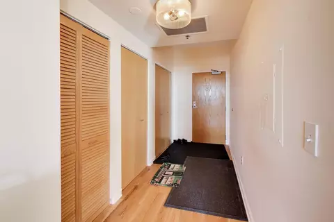 Entry Way - 5 E 14th Pl #1606, Chicago, IL 60605 photo 2 of 3