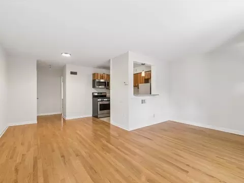 Living - 7221 Division St #5, River Forest, IL 60305 photo 2 of 3