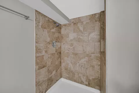Bath - 1007 Cedar Ave, Elgin, IL 60120 photo 4 of 4
