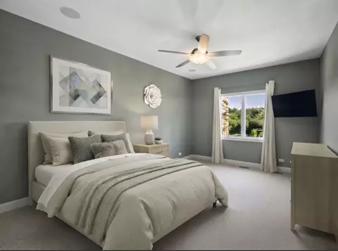 Bedroom - 25860 Prairie Hill Ln, Plainfield, IL 60585 photo 2 of 6
