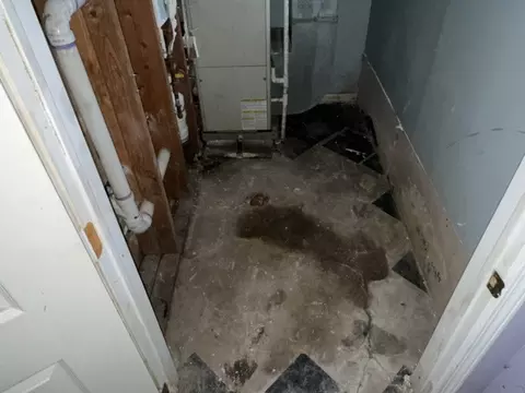 Other - 852 E 88th St, Chicago, IL 60619 photo 12 of 12