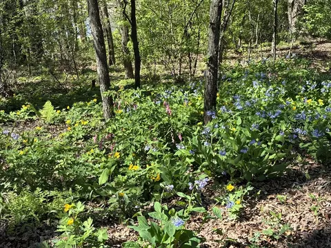 Exterior - 804 Timber Trail Dr, Dixon, IL 61021 photo 11 of 16