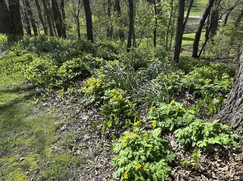 Other - 804 Timber Trail Dr, Dixon, IL 61021 photo 9 of 10