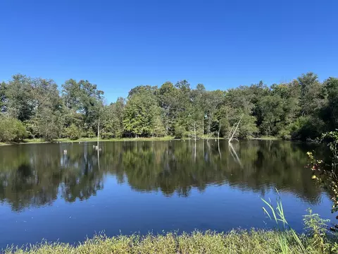 View/Area - 2183 Wards Mill Rd, Marion, IL 62959 photo 1 of 3