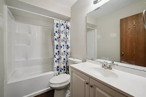 Bath - 532 Shenandoah Trl, Elgin, IL 60123 photo 1 of 4