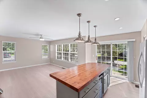 Living - 1301 Filly Ln, Bartlett, IL 60103 photo 5 of 5