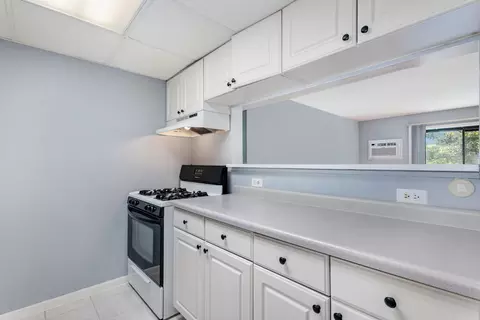 Kitchen - 208 E Bailey Rd E #K, Naperville, IL 60565 photo 1 of 2