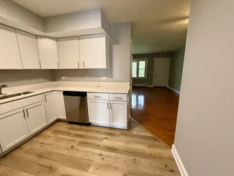 Kitchen - 145 Dover Dr #14, Des Plaines, IL 60018 photo 4 of 4