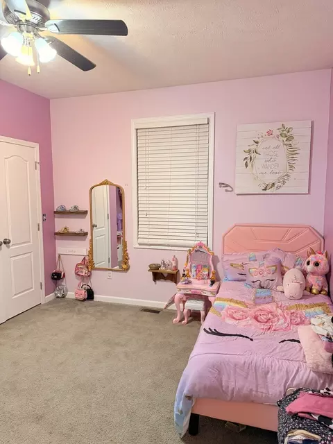Bedroom - 14052 Summer Rd, Benton, IL 62812 photo 3 of 3