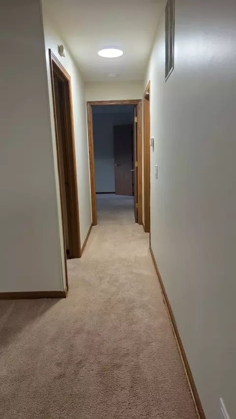 Entry Way - 620 Mallard Unit D1 Ct, Bartlett, IL 60103 photo 3 of 4