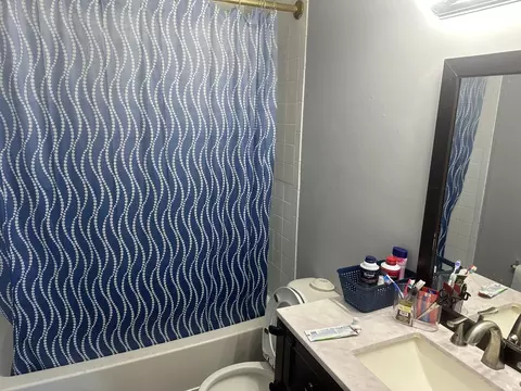 Bath - 836 S Spring Rd, Elmhurst, IL 60126 photo 6 of 6