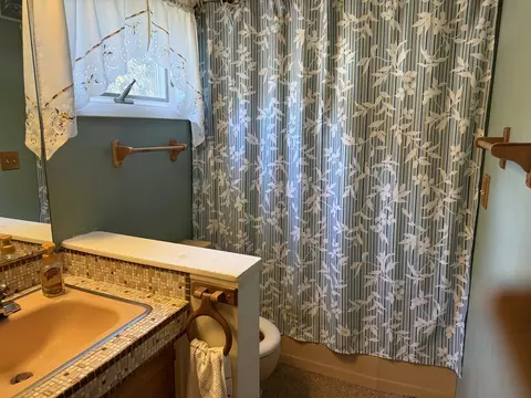 Bath - 206 E Clark St, Princeton, IL 61356 photo 2 of 2