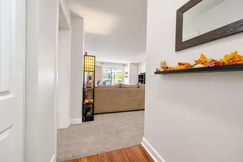 Entry Way - 5400 Astor Ln #103, Rolling Meadows, IL 60008 photo 1 of 4
