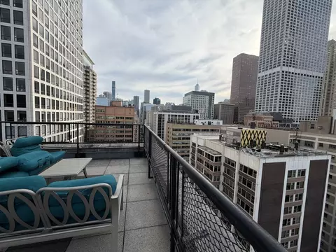 View/Area - 253 E Delaware Pl #8A, Chicago, IL 60611 photo 5 of 5