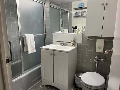 Bath - 253 E Delaware Pl #8A, Chicago, IL 60611 photo 1 of 1