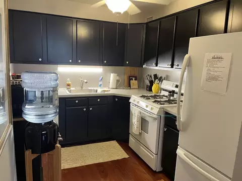 Kitchen - 253 E Delaware Pl #8A, Chicago, IL 60611 photo 2 of 3
